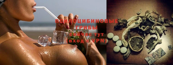 эйфоретик Ладушкин