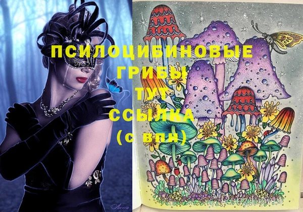 скорость Балахна