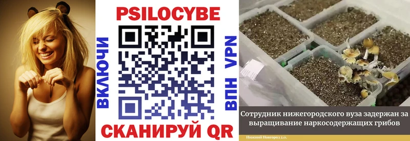 Галлюциногенные грибы GOLDEN TEACHER  дарнет шоп  Онега 
